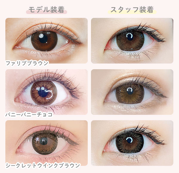 モデル装着　スタッフ装着　ファリブブラウン　バニーバニーチョコ　シークレットウインクブラウン