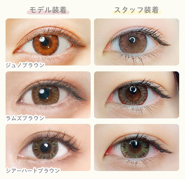 モデル装着　スタッフ装着　ジュノブラウン　ラムズブラウン　シアーハート