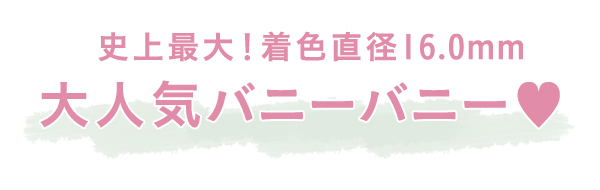 史上最大！着色直径16.0mm　大人気バニーバニー！